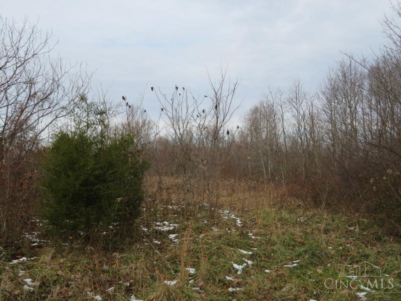 7730 Beavers Ridge Road Piketon, OH 45661 - Photo 7 of 15