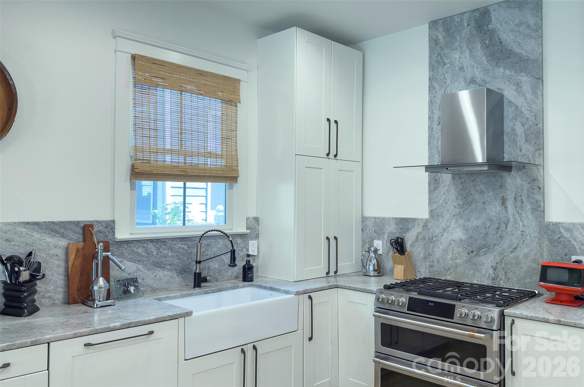 2561 Lower Assembly Drive Fort Mill, SC 29708 - Photo 6 of 44 Gallery Image 6