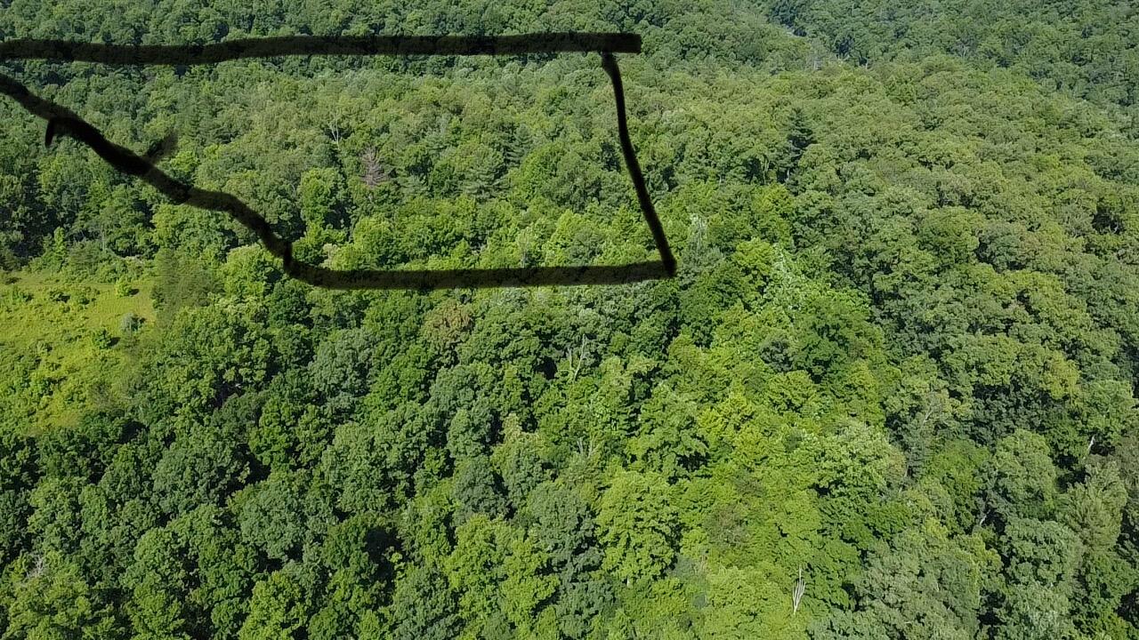 Al Martin Road Robbins, TN 37852 - Photo 5 of 6 MJUXE6499