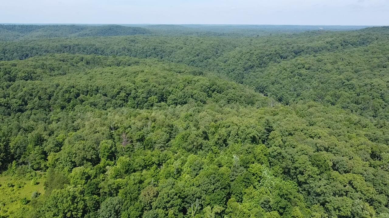Al Martin Road Robbins, TN 37852 - Photo 6 of 6 HMKO3280