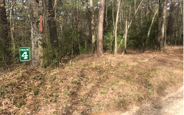 4 Hap Holt Road Ellijay, GA 30540 - Photo 1 of 1 Main View