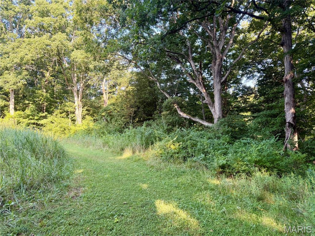 0 County Road Strasburg, IL 62465 - Photo 50 of 97 Gallery Image 50
