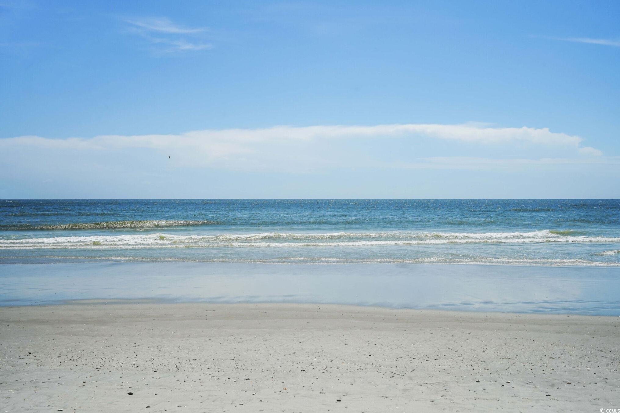 300 Champions Boulevard, Unit CHERRY GROVE Little River, SC 29566 - Photo 24 of 25