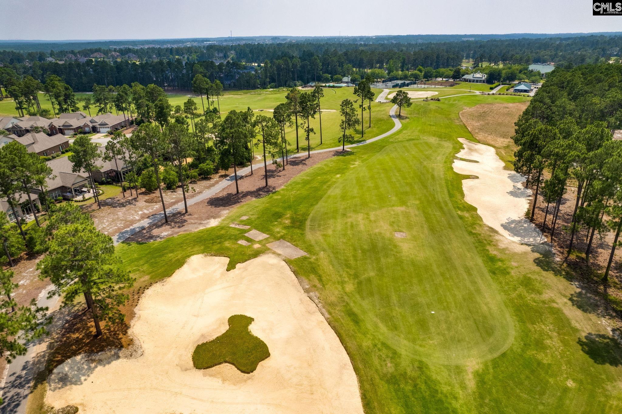 166 Backspin Drive Elgin, SC 29045 - Photo 41 of 55