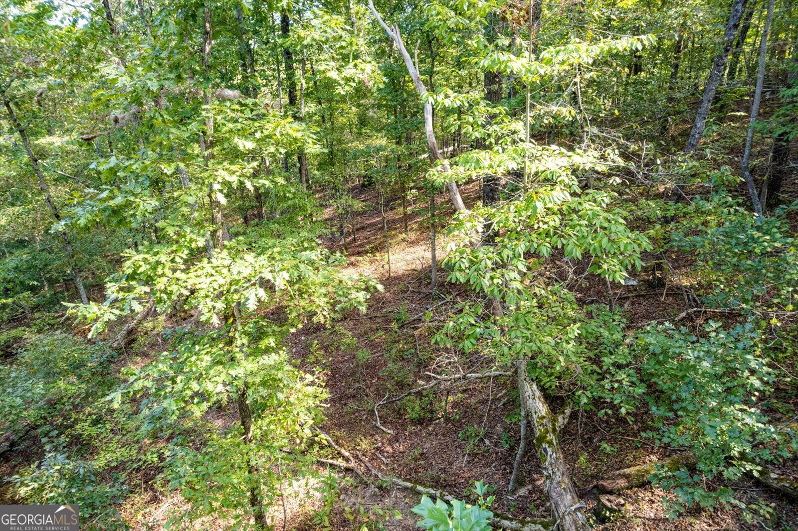 Lot 3 Blalock Mountain Road Talking Rock, GA 30175 - Photo 15 of 31 Gallery Image 15