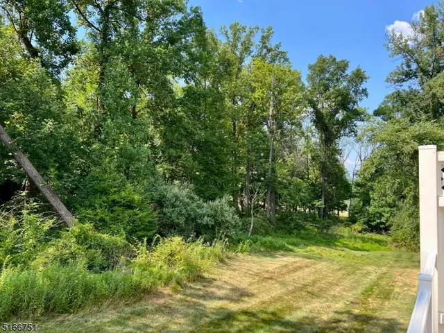 a view of a yard with plants and large trees