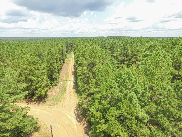 a view of a yard with plants