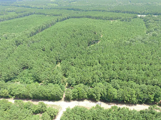 a view of a green field with lots of green space