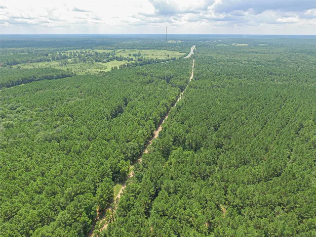 $149,000 | Tbd Hickman Road, Corrigan, TX 75939