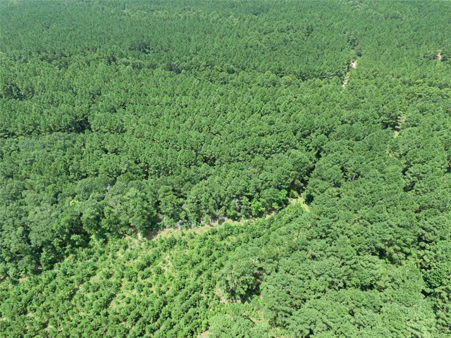 $149,000 | Tbd Hickman Road, Corrigan, TX 75939