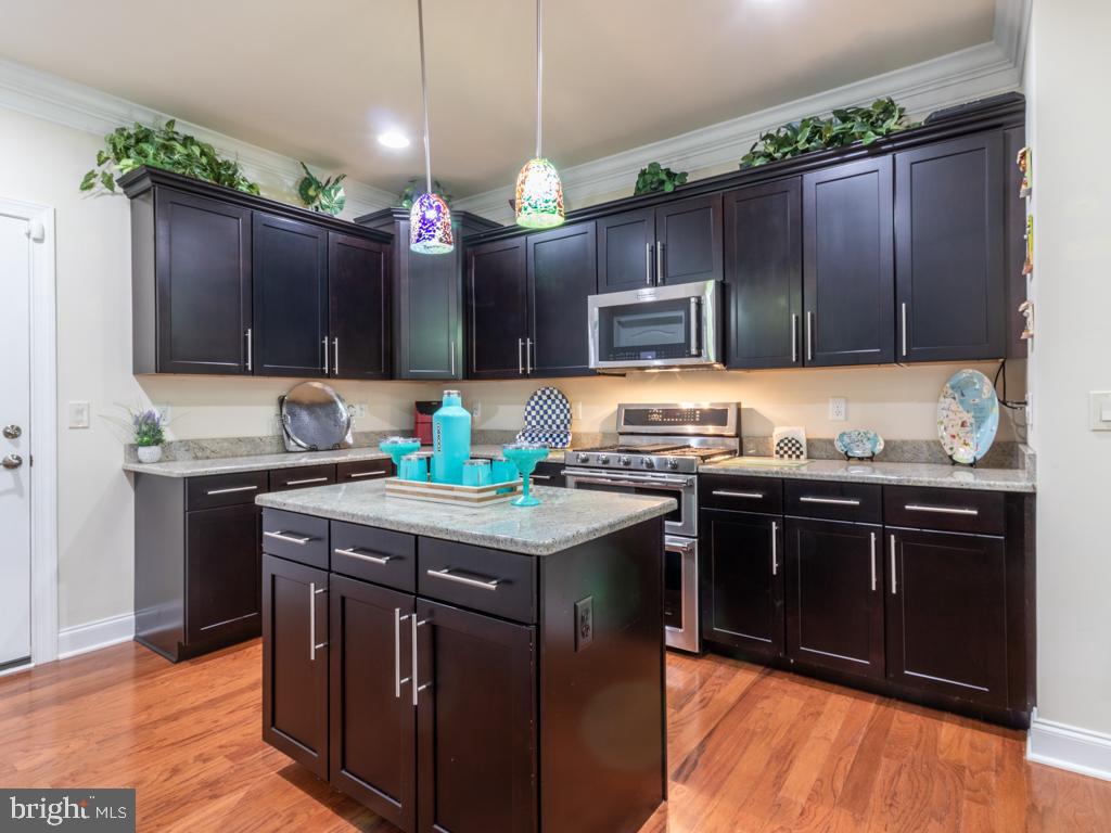 76 Radcliffe Drive Rehoboth Beach, DE 19971 - Photo 12 of 37 Gourmet kitchen