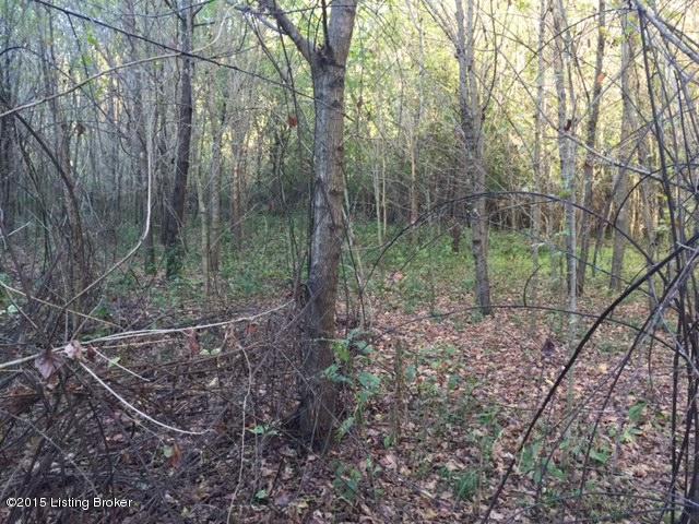543 Cow Branch Road West Point, KY 40177 - Photo 14 of 23 B15