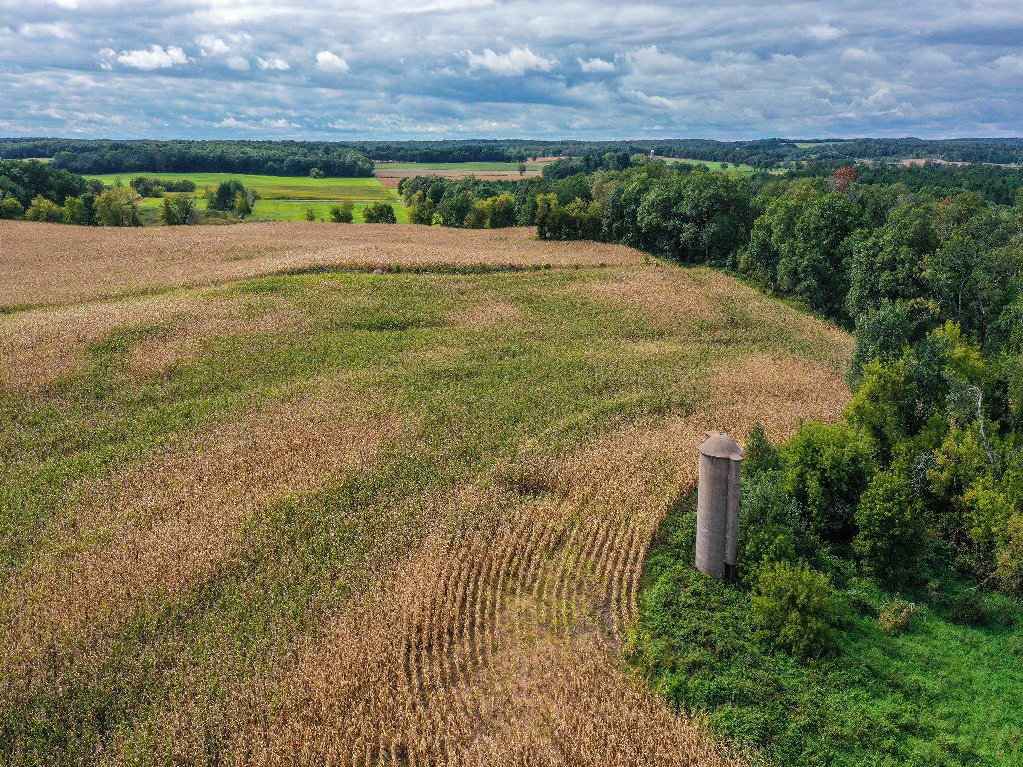 Lot 2 Elm Road Rudolph, WI 54475 - Photo 1 of 1