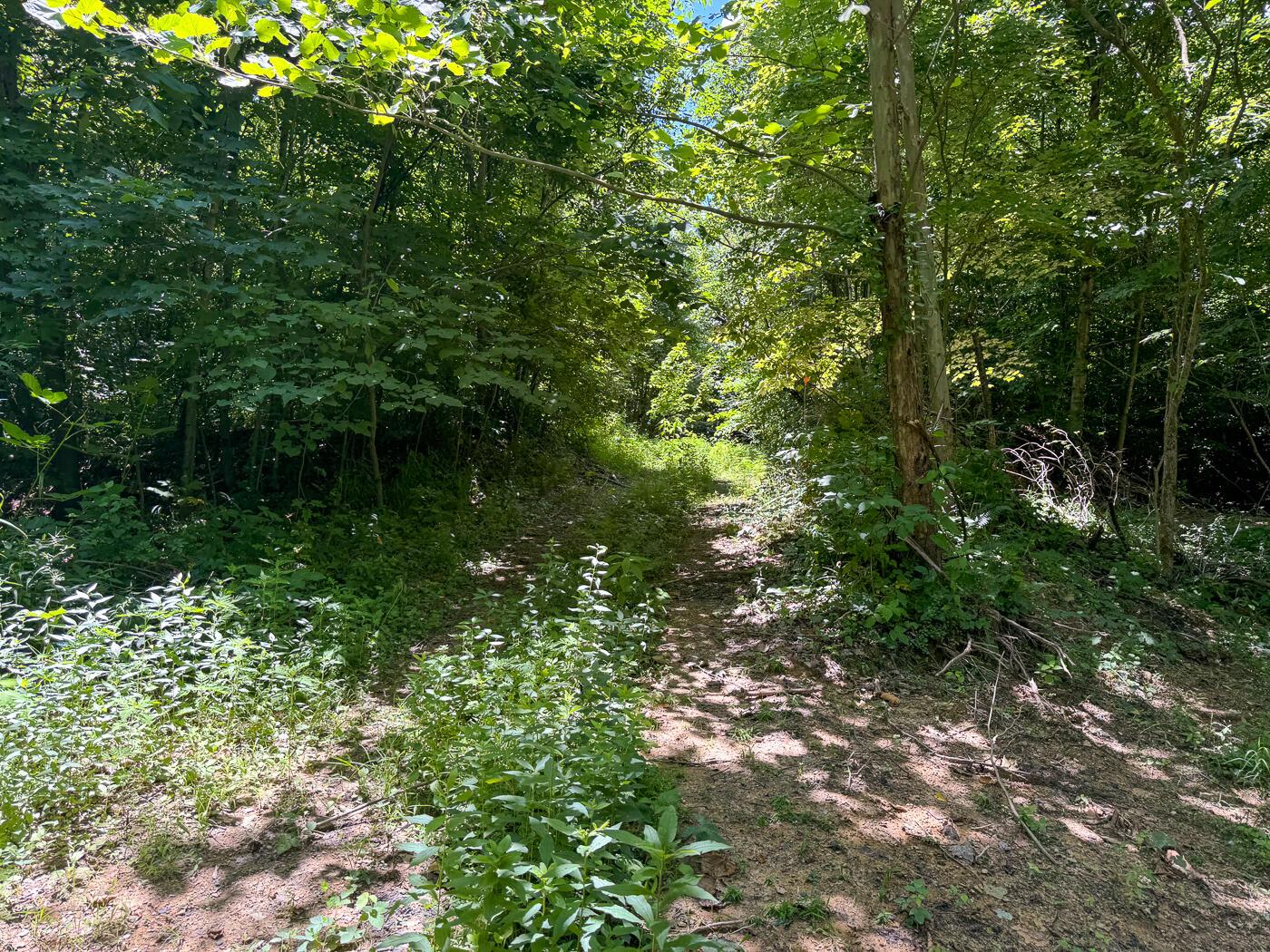 4313 Flint Ridge Road Northeast, Unit INT RIDGE TRACT 18 ACRE) Crooksville, OH 43731 - Photo 32 of 53 CT-32