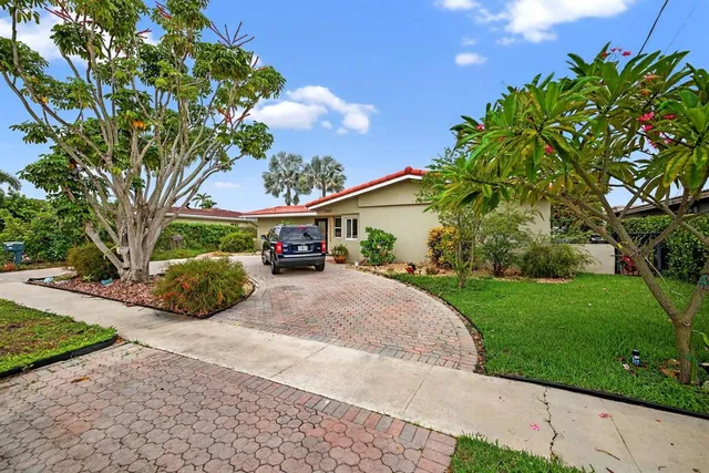 a view of a street with potted plants and a large tree