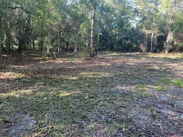 a view of outdoor space with trees