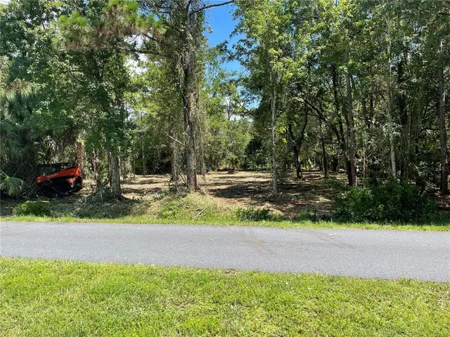 a view of park with tree