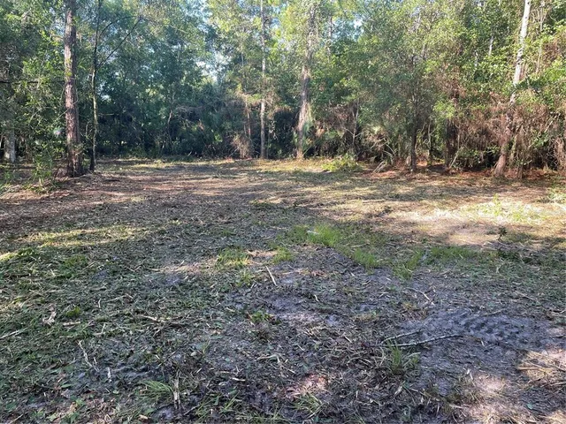 a view of outdoor space with trees