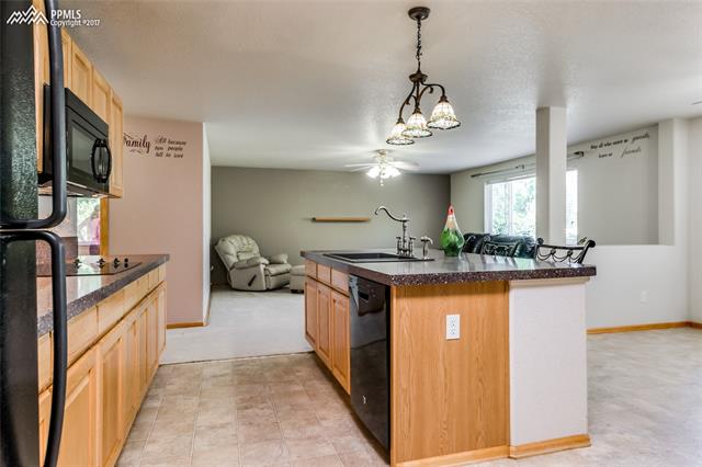 7919 Tompkins Road Peyton, CO 80831 - Photo 7 of 36 Gallery Image 7