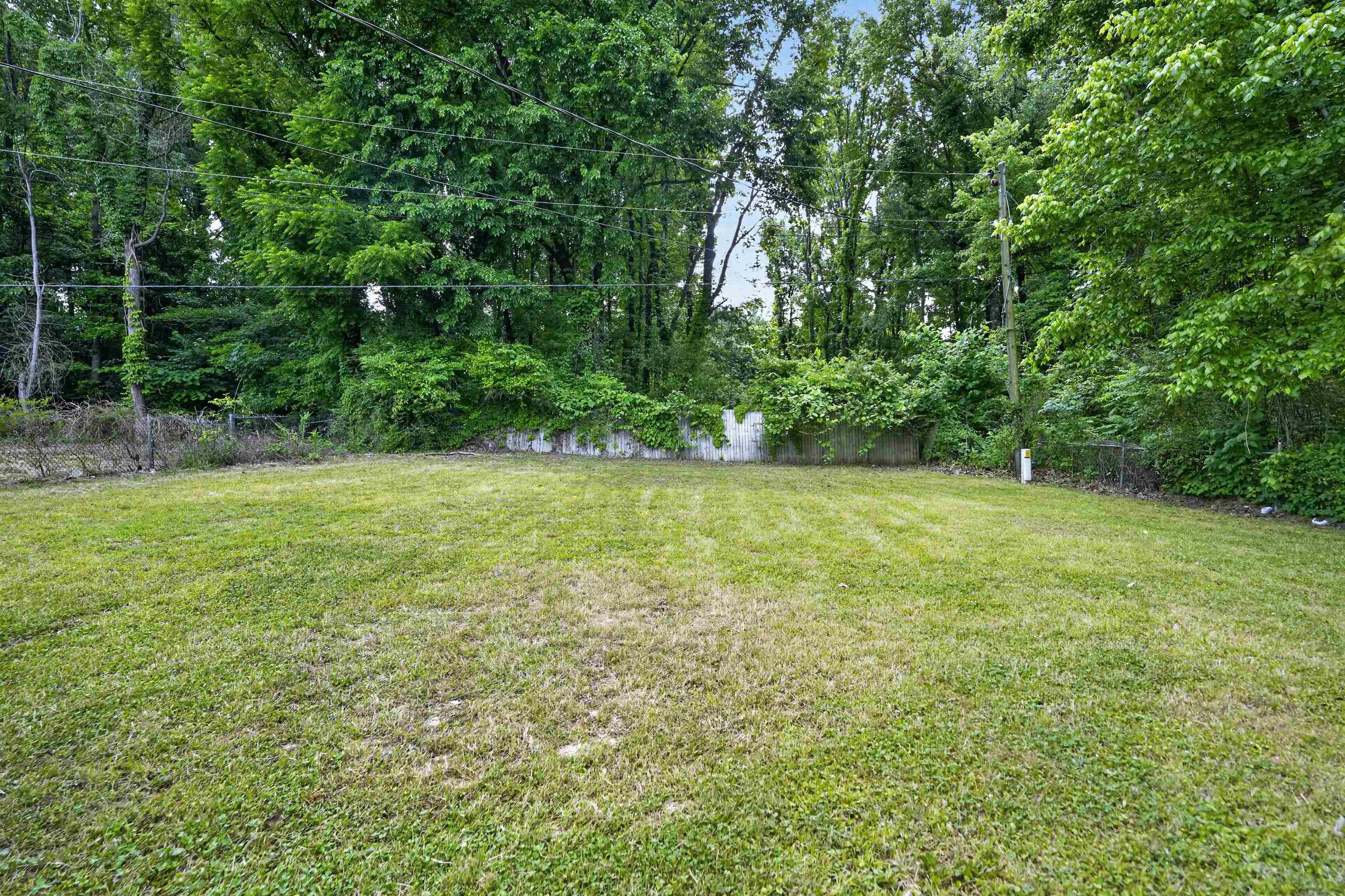 3608 Cane Ridge Drive Memphis, TN 38109 - Photo 8 of 31 Expansive grassy area with a retaining wall and mature perimeter trees
