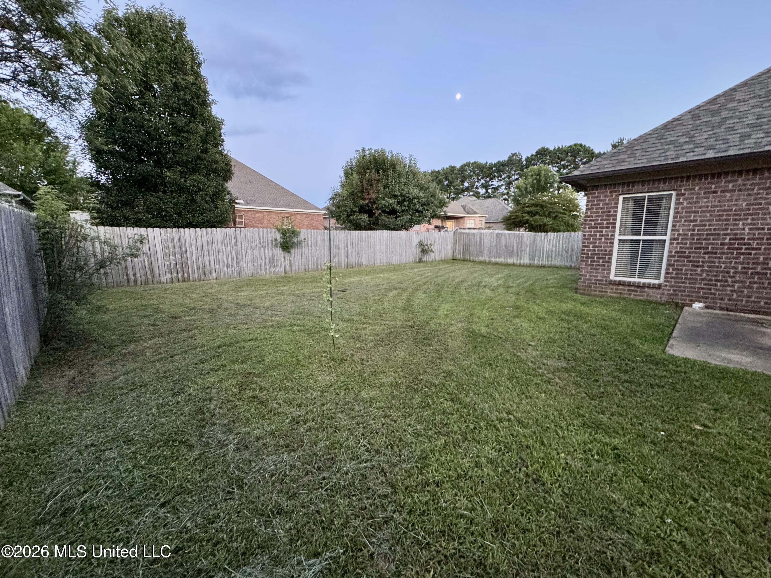 809 Windlass Cove Brandon, MS 39047 - Photo 22 of 23 Back Yard