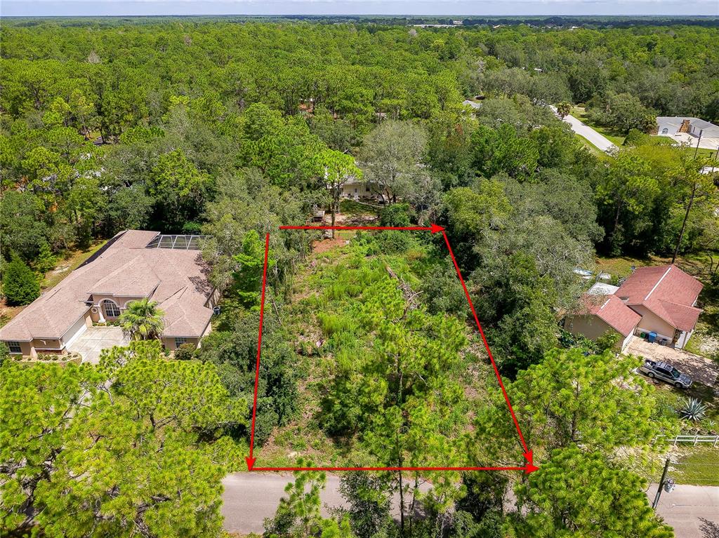 9041 Helene Way Weeki Wachee, FL 34613 - Photo 2 of 15 Gallery Image 2