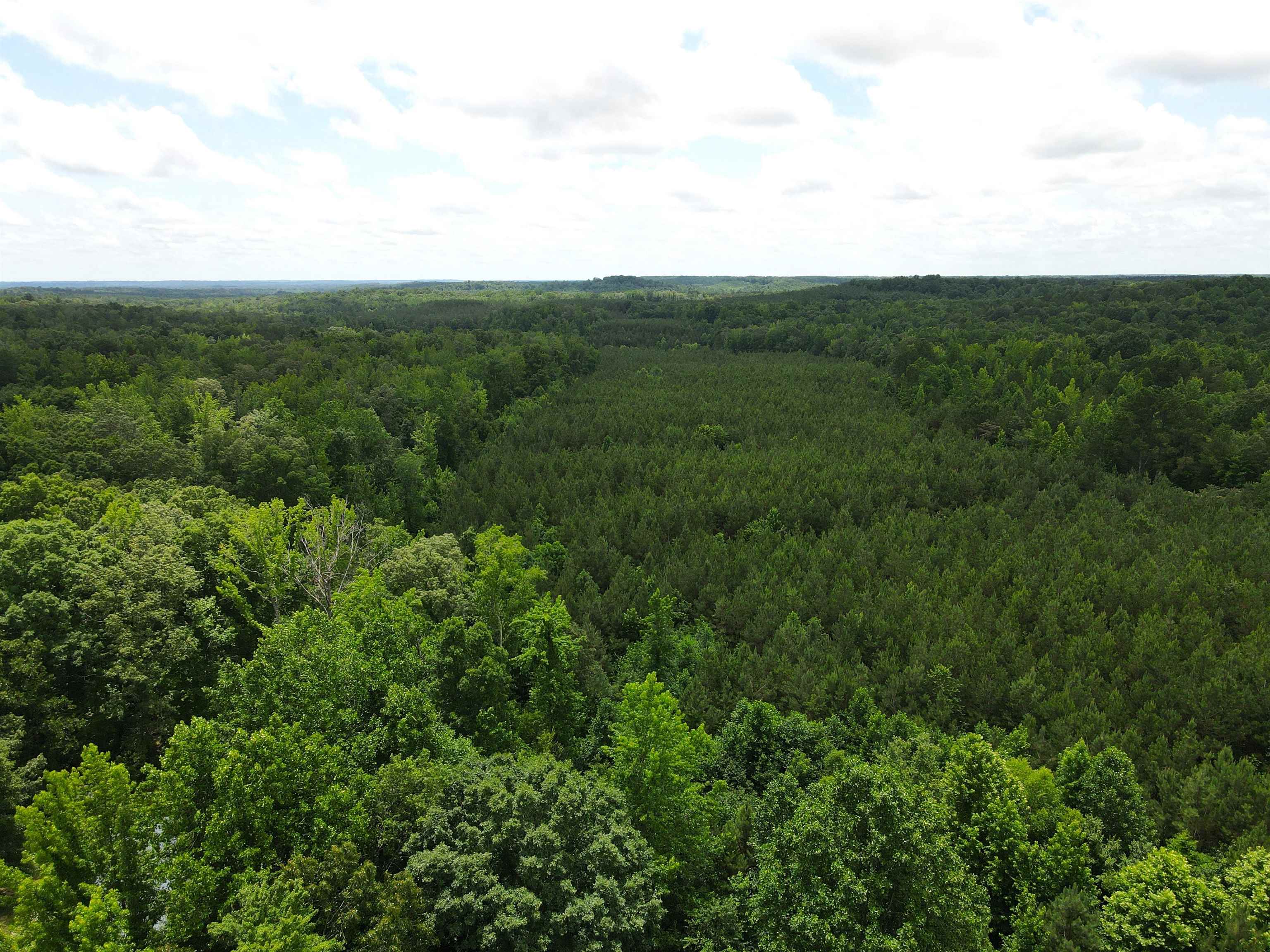 a view of a field of grass and trees
