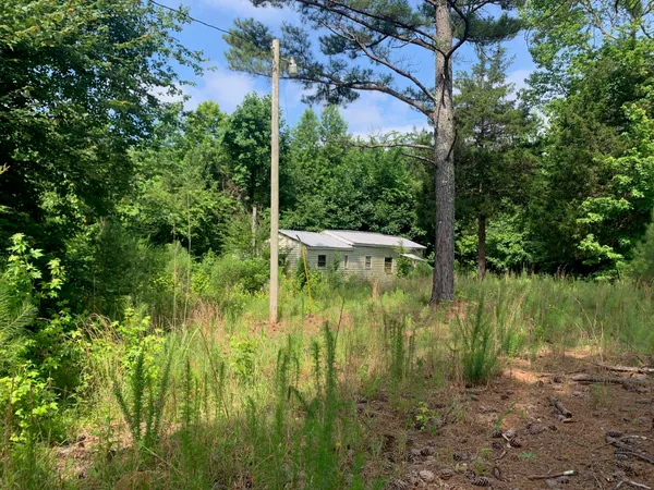 a view of yard with green space