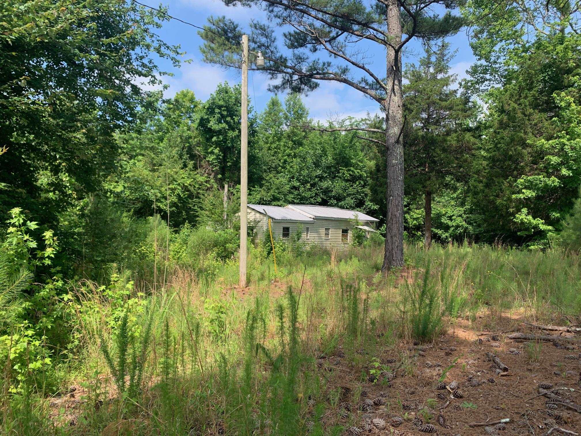 Candy Lane Stantonville, TN 38379 - Photo 11 of 15 a view of yard with green space