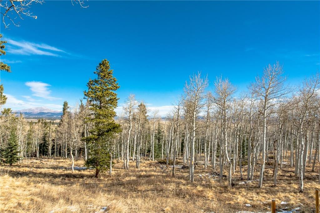 165 Sheep Ridge Road Fairplay, CO 80440 - Photo 22 of 33 a view of a city with tall house