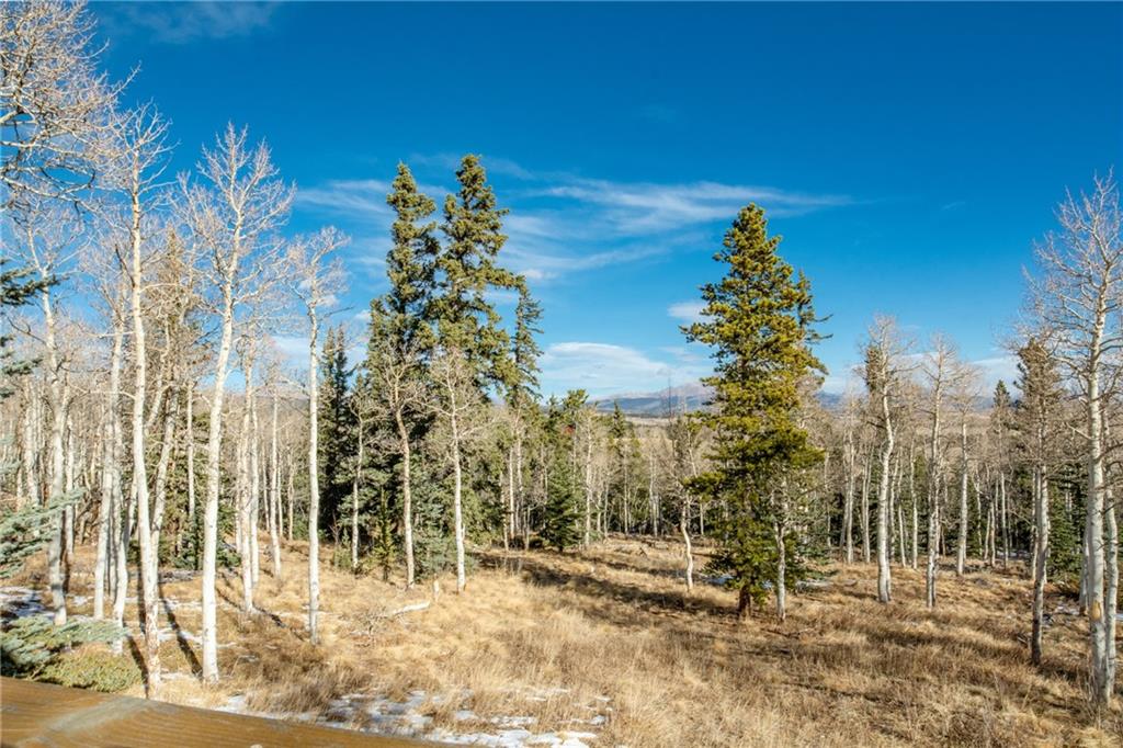 165 Sheep Ridge Road Fairplay, CO 80440 - Photo 23 of 33 a view of a yard with plants