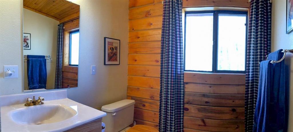 165 Sheep Ridge Road Fairplay, CO 80440 - Photo 25 of 33 a bathroom with a sink a toilet and shower
