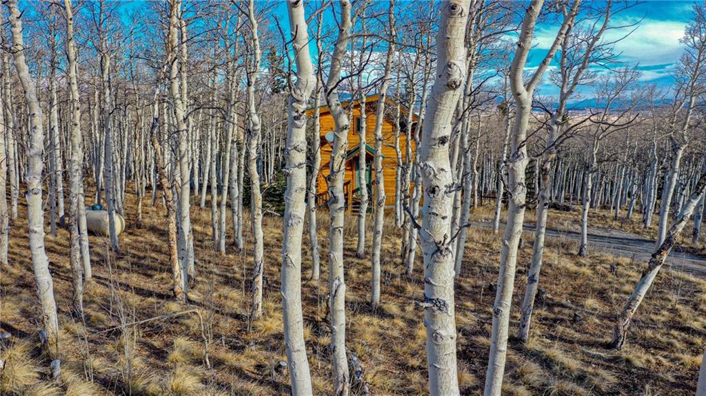 165 Sheep Ridge Road Fairplay, CO 80440 - Photo 27 of 33