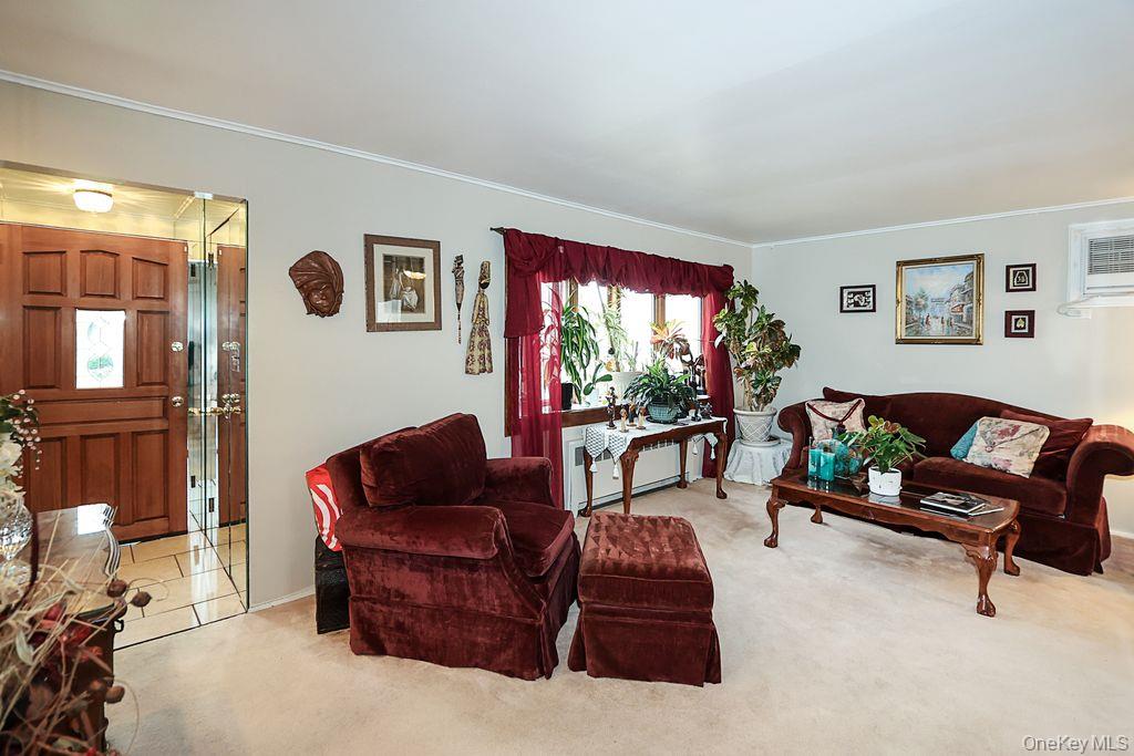 64 Conlon Road Roosevelt, NY 11575 - Photo 5 of 19 a living room with furniture and a potted plant