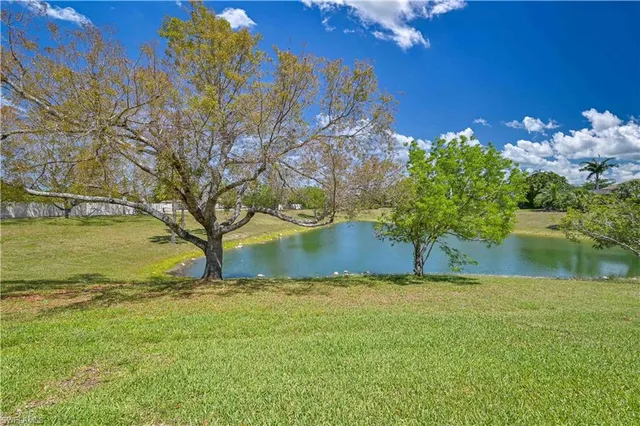 a view of backyard with green space