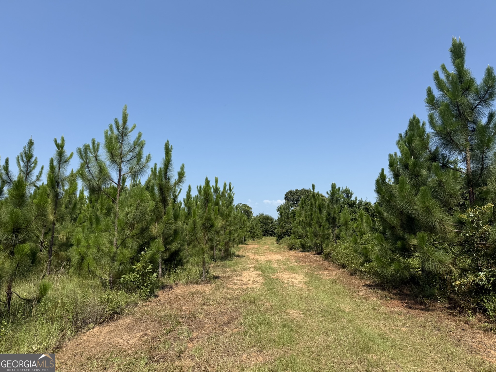 1 A Barge Road Lumpkin, GA 31815 - Photo 3 of 8