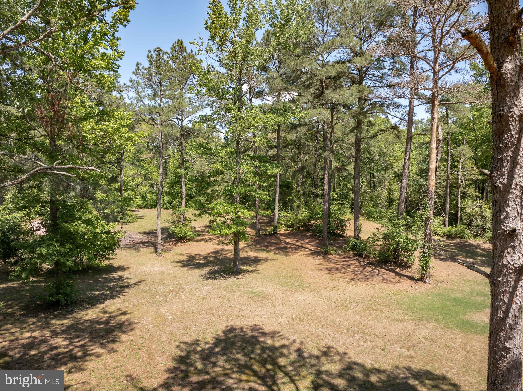6635 Libertytown Road Berlin, MD 21811 - Photo 82 of 88