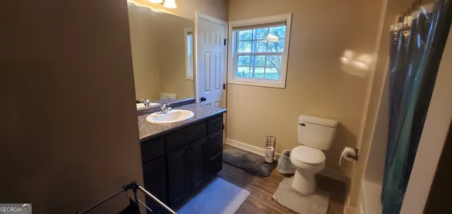 a bathroom with a sink and a toilet