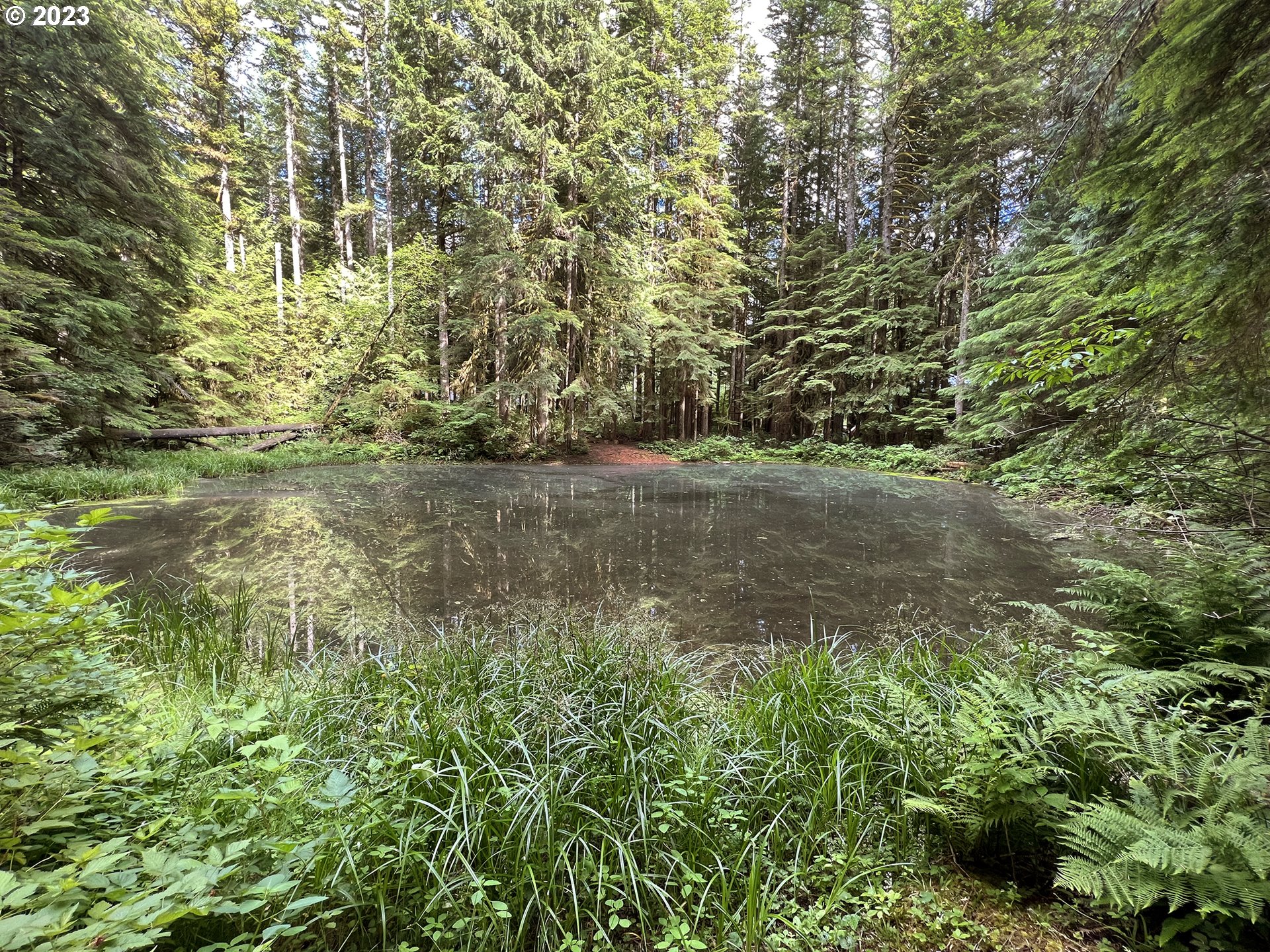 22 Southeast Hemlock Road Corbett, OR 97019 - Photo 36 of 36 Gallery Image 36