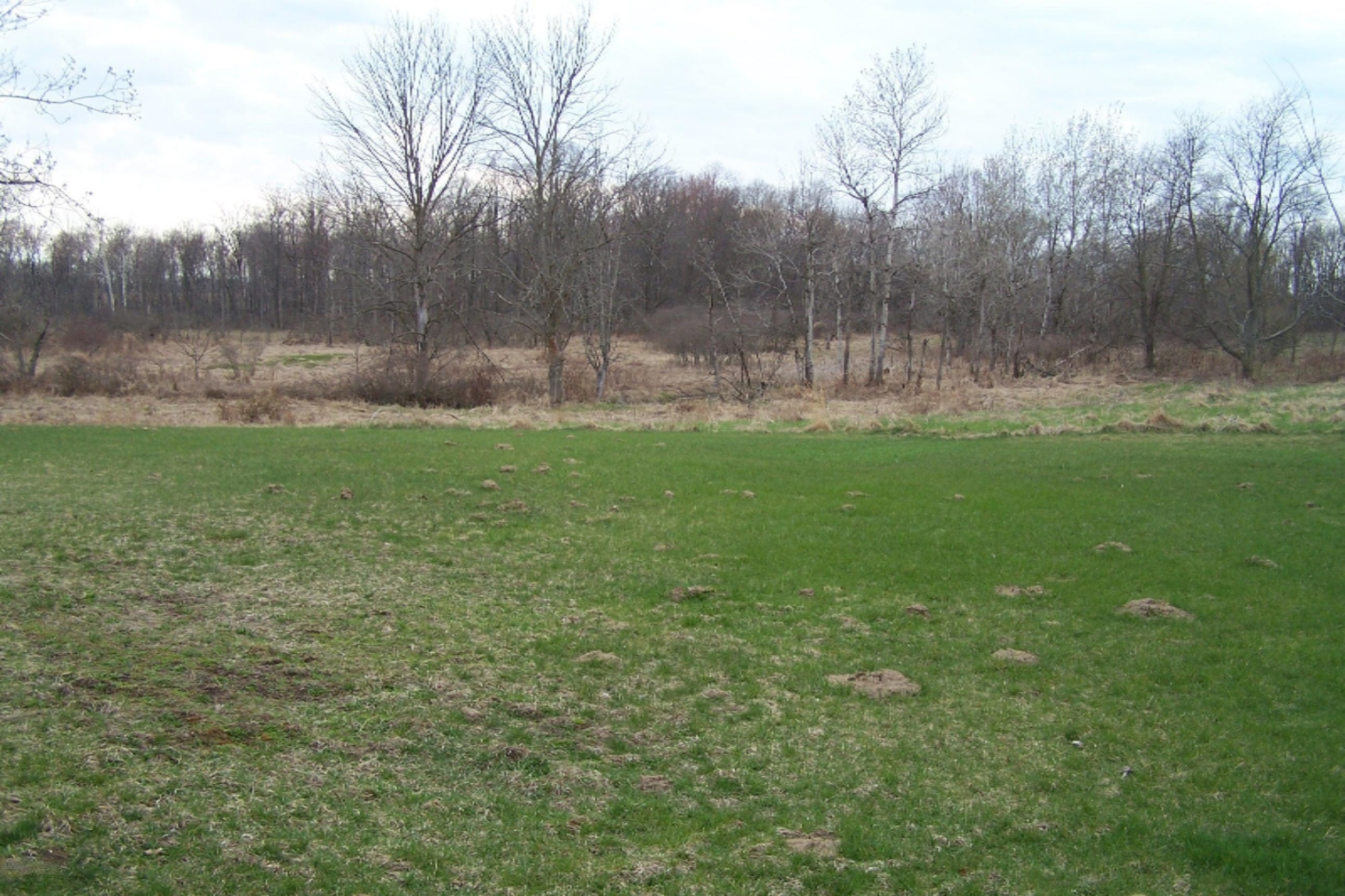 52398 Leach Road Dowagiac, MI 49047 - Photo 13 of 25 100_3626