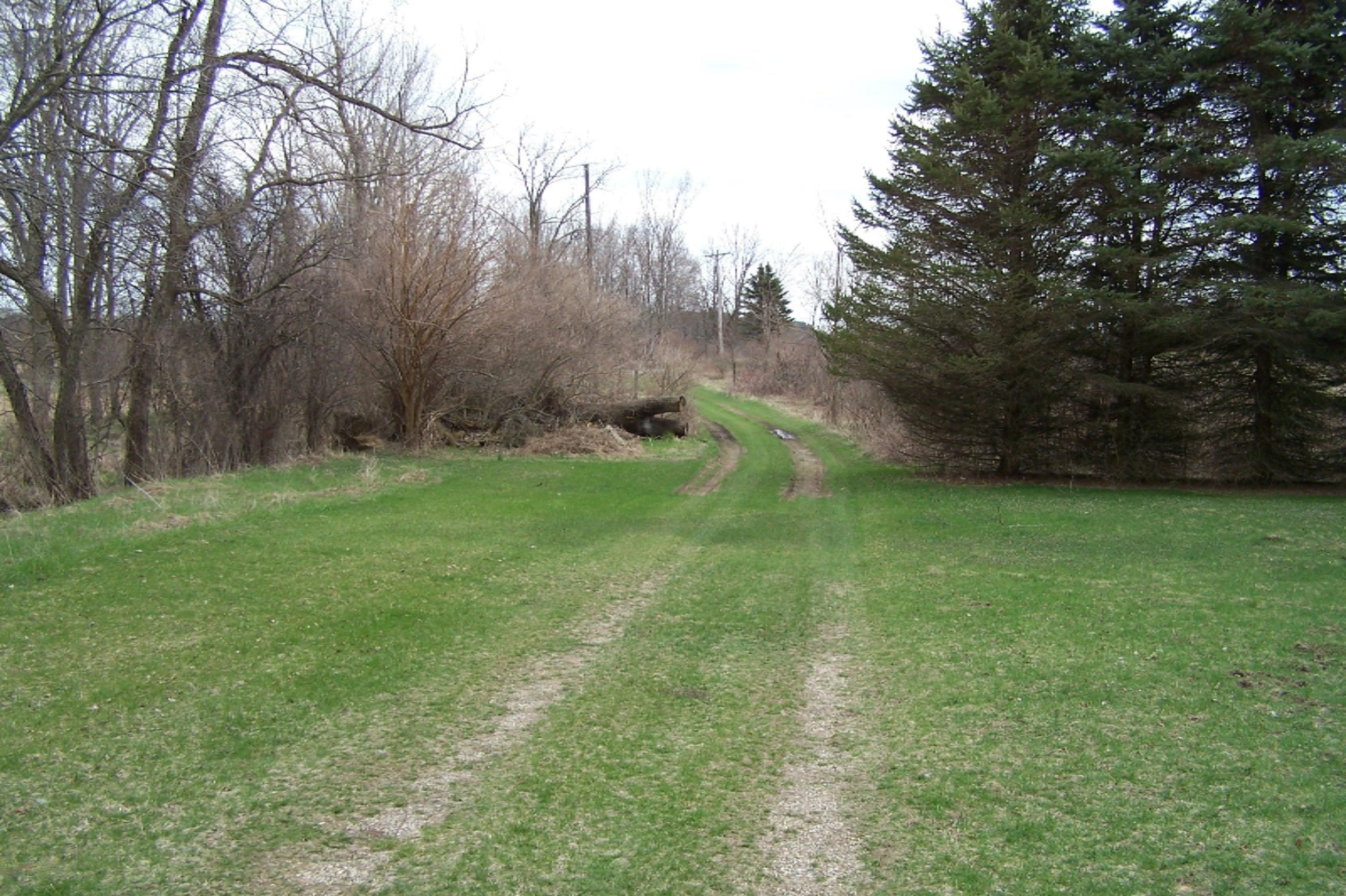 52398 Leach Road Dowagiac, MI 49047 - Photo 6 of 25 100_3604
