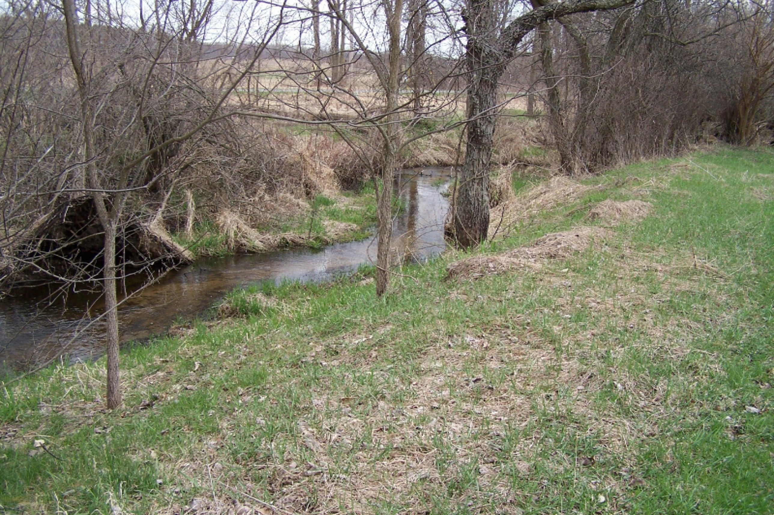 52398 Leach Road Dowagiac, MI 49047 - Photo 7 of 25 100_3605