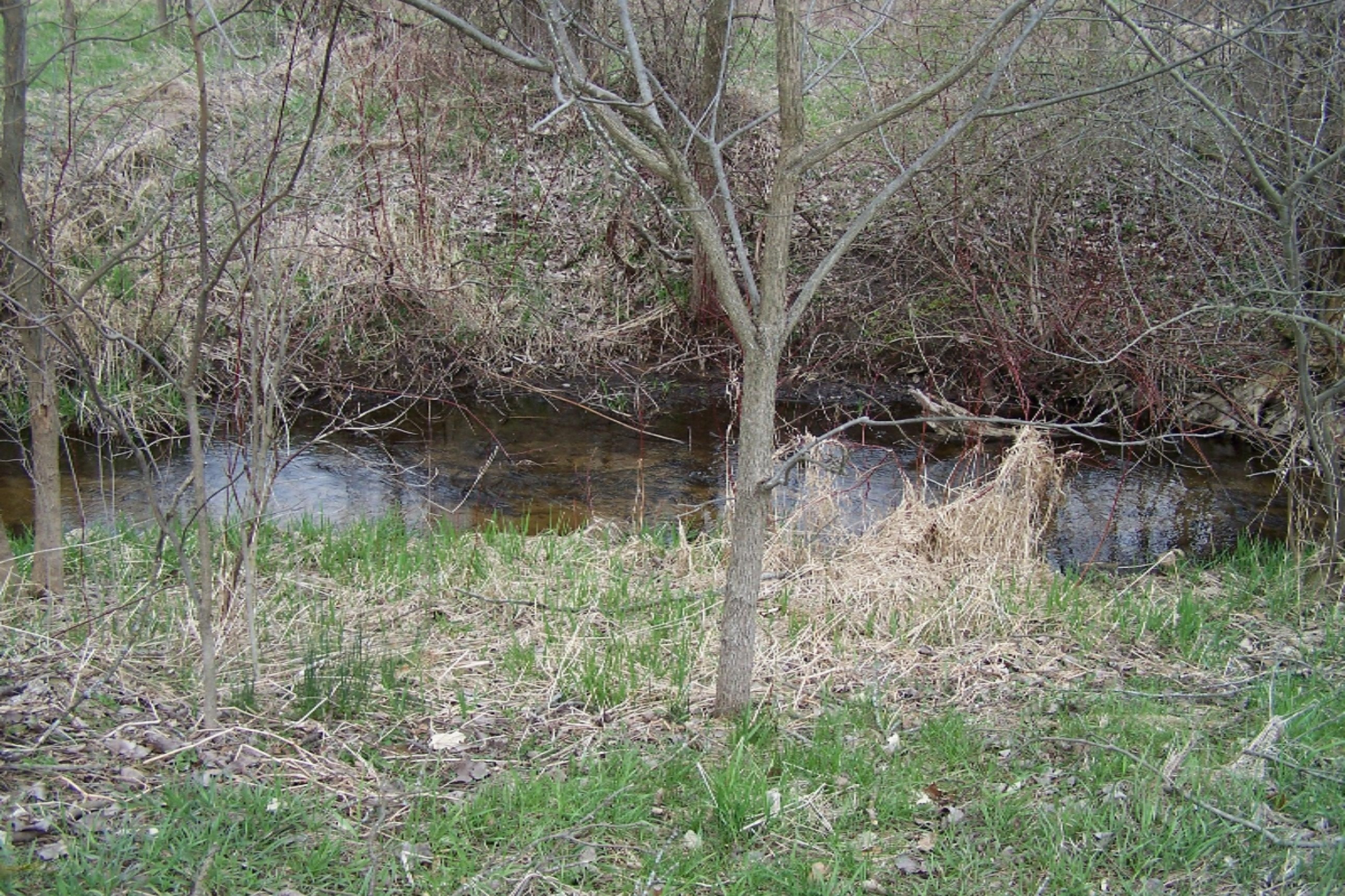 52398 Leach Road Dowagiac, MI 49047 - Photo 8 of 25 100_3606