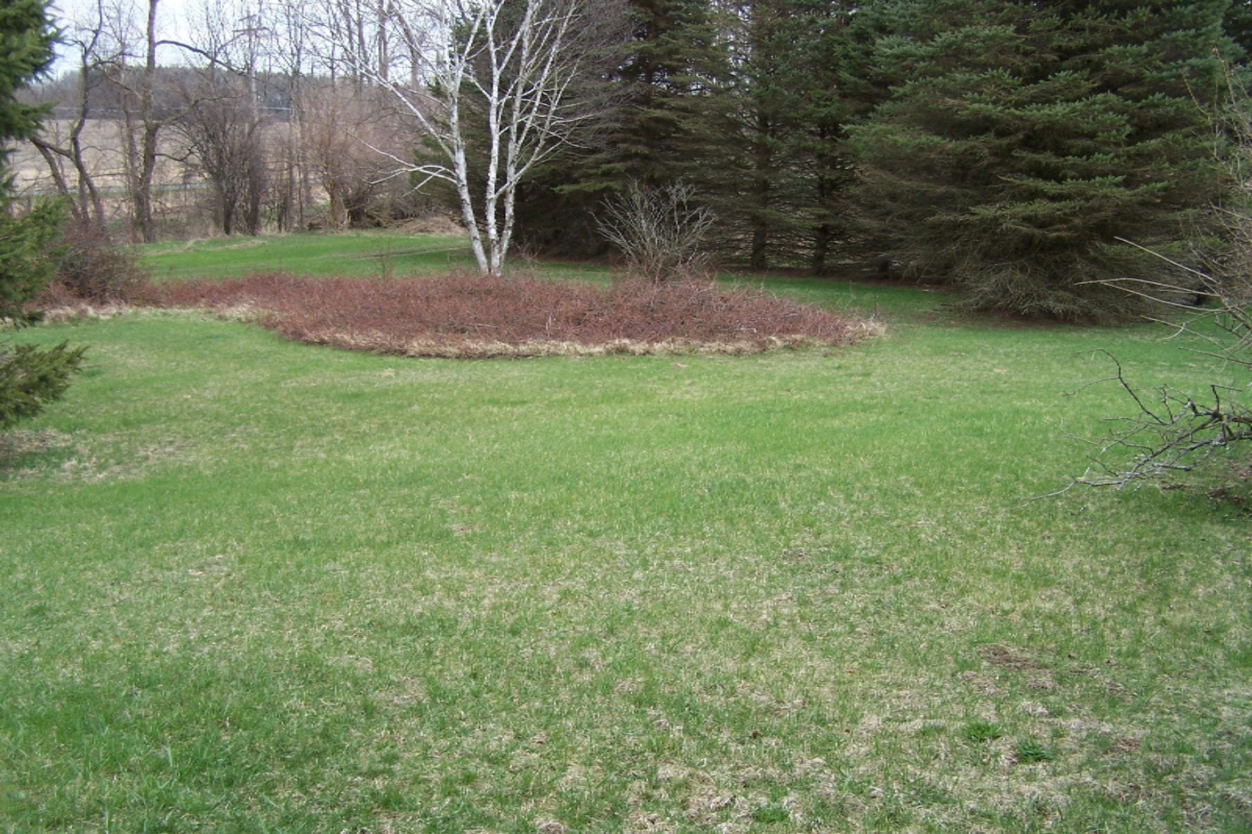 52398 Leach Road Dowagiac, MI 49047 - Photo 10 of 25 100_3610