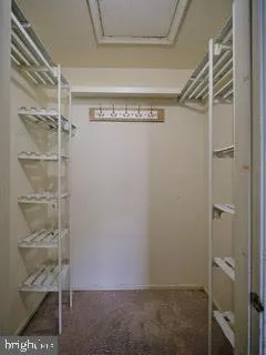 a view of walk in closet with empty racks
