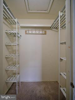 99 Carousel Circle Doylestown, PA 18901 - Photo 11 of 14 a view of walk in closet with empty racks
