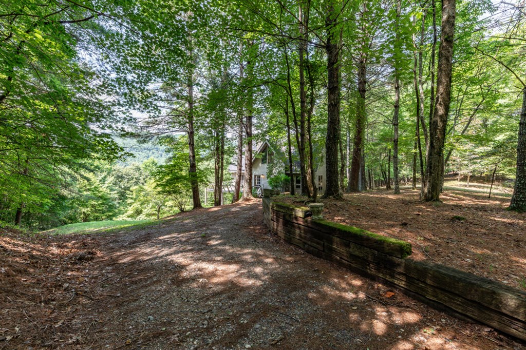 404 Earney Road Blairsville, GA 30512 - Photo 2 of 4 Gallery Image 2