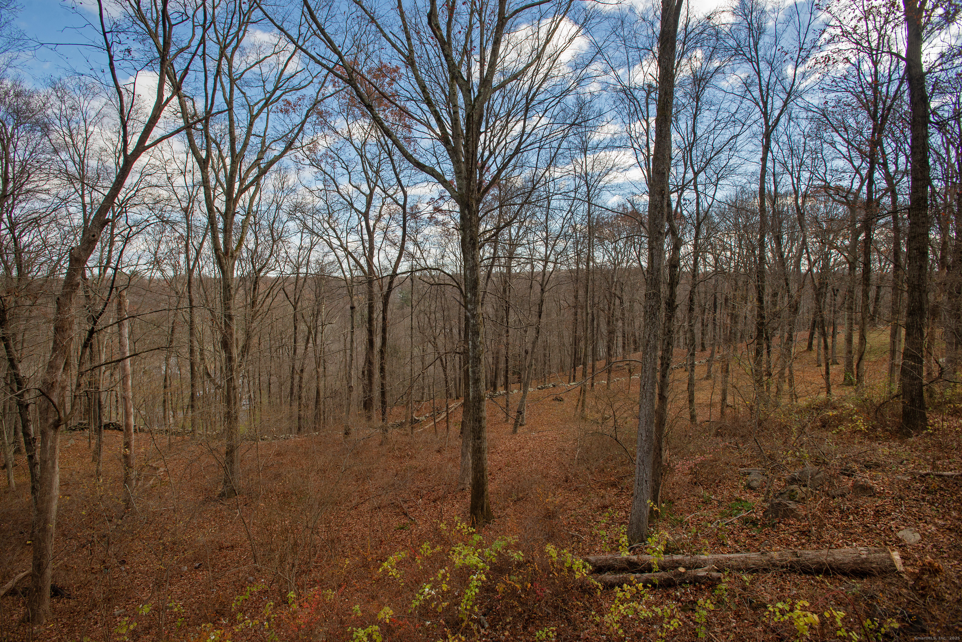 180 Peaceable Ridge Road Ridgefield, CT 06877 - Photo 27 of 28 a backyard of a house with lots of green space