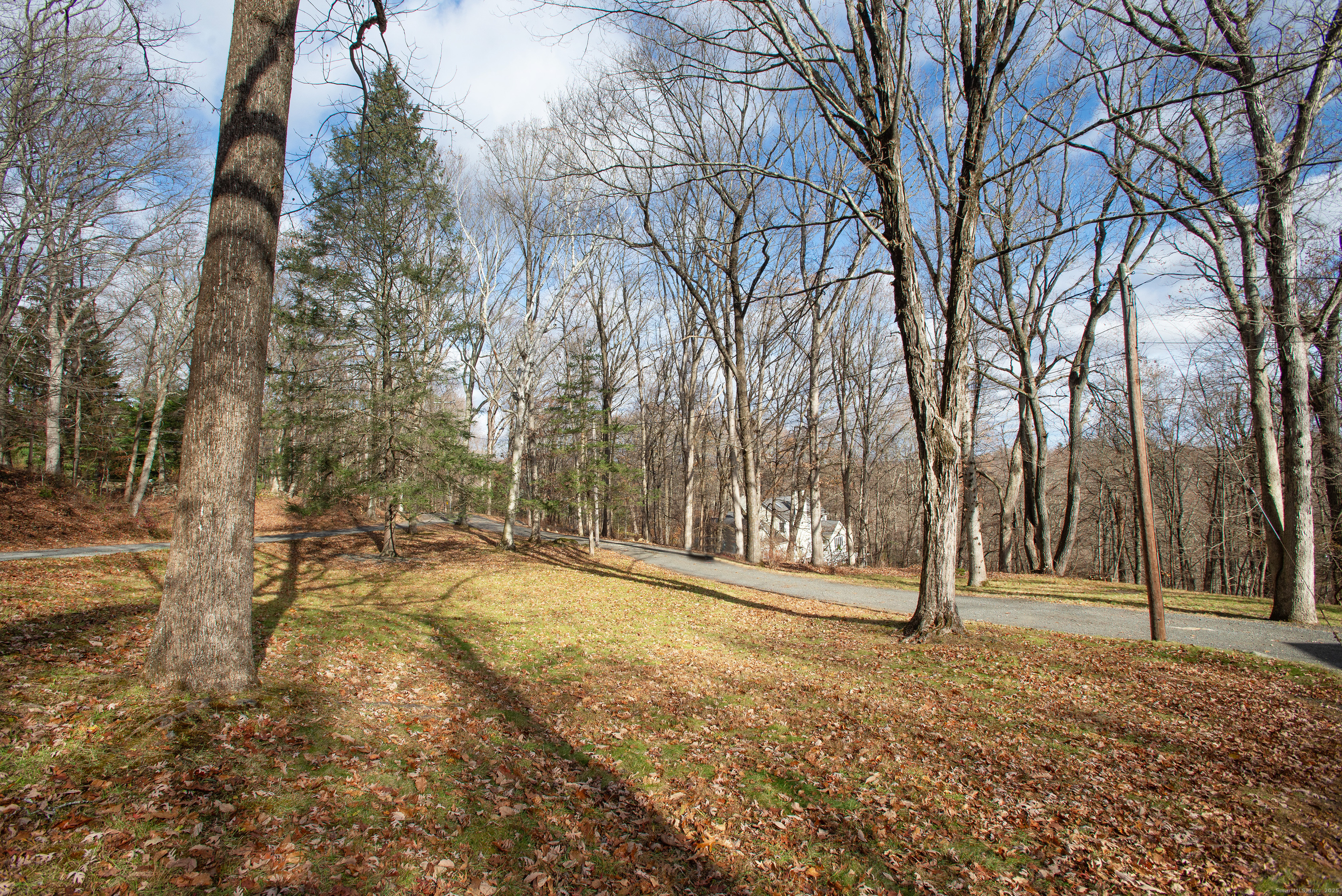 180 Peaceable Ridge Road Ridgefield, CT 06877 - Photo 4 of 28 a view of outdoor space with trees