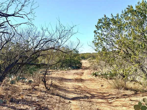 a view of a yard with plants and trees